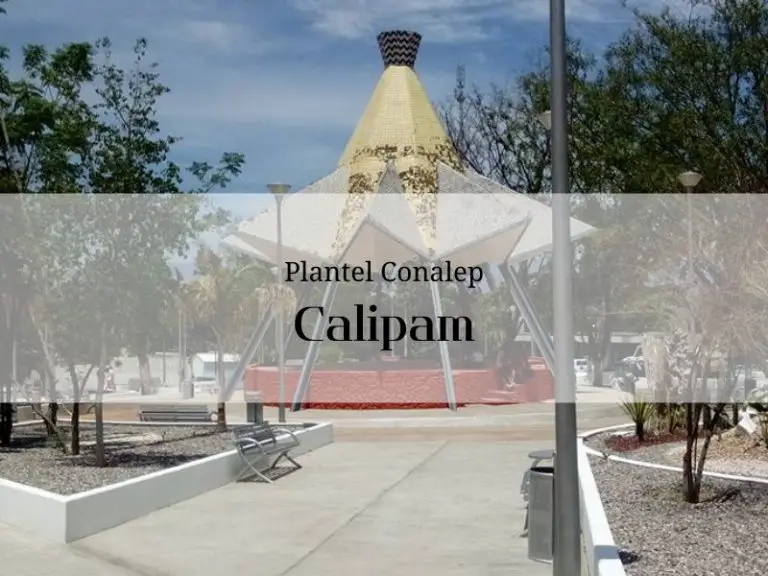 Conalep Calipam » inscripción y carreras【2026】