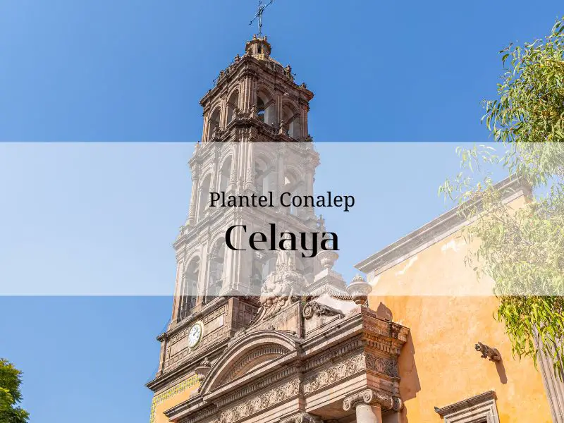 Imagen que representa el estado de Guanajuato en el que se encuentra el Conalep de Celaya
