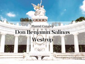 Imagen que representa el estado de Nuevo león en el que se encuentra el Conalep de Don Benjamín Salinas Westrup
