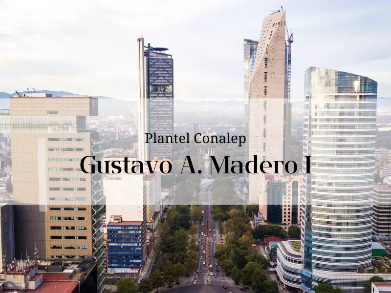 Imagen que representa el estado de Ciudad de méxico en el que se encuentra el Conalep de Gustavo A. Madero I