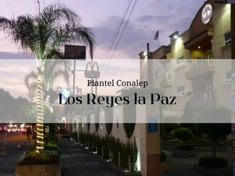 Conalep Los Reyes la Paz » inscripción y carreras【2024 Conalep Los Reyes la Paz » inscripción y carreras【2024