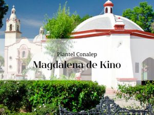 Imagen que representa el estado de Sonora en el que se encuentra el Conalep de Magdalena de Kino