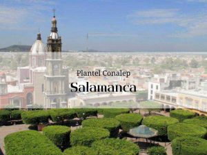Imagen que representa el estado de Guanajuato en el que se encuentra el Conalep de Salamanca