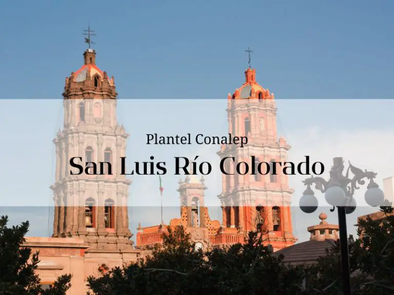 Conalep San Luis Río Colorado » inscripción y carreras【2024