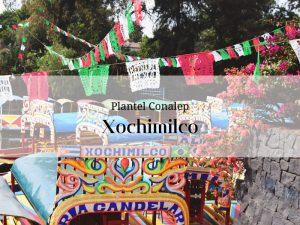 Imagen que representa el estado de Ciudad de méxico en el que se encuentra el Conalep de Xochimilco