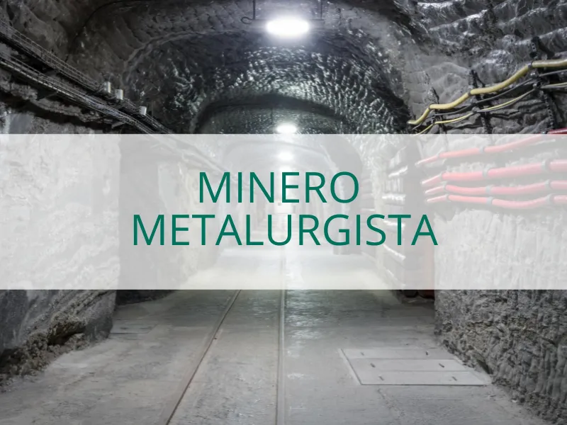 Minero Metalurgista Carrera Conalep